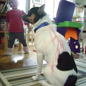 Meet your Posher, Jeryl